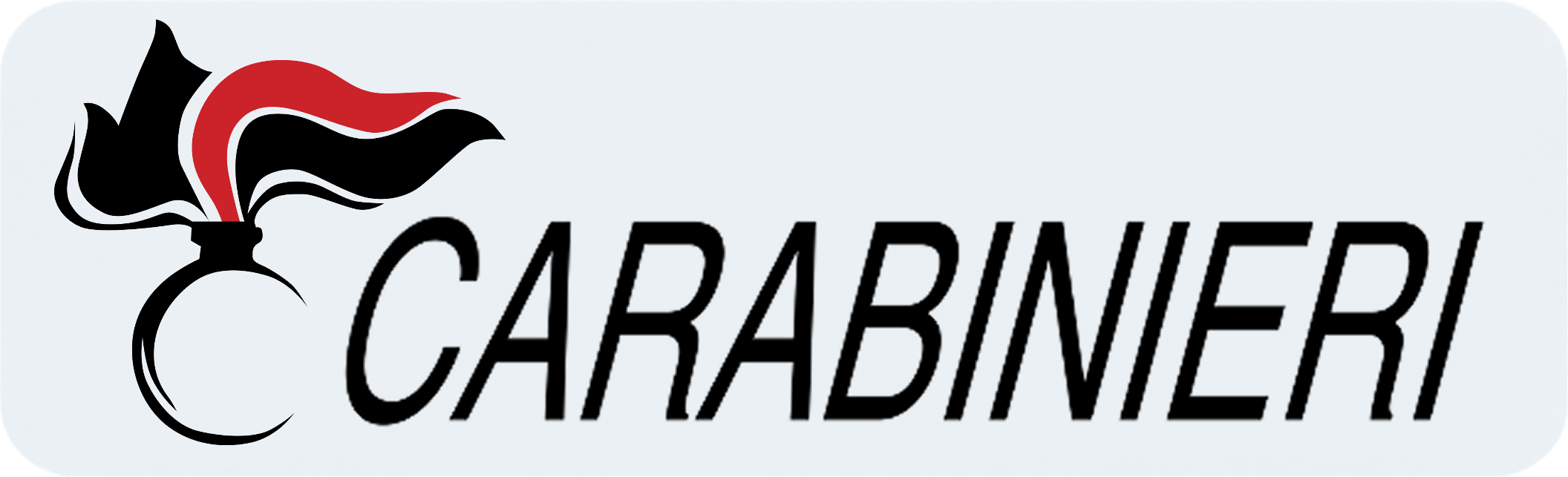 Italian Carabinieri